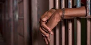 3 Gwanda notorious robbers jailed