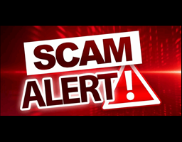 Driving school employee cons licence seekers