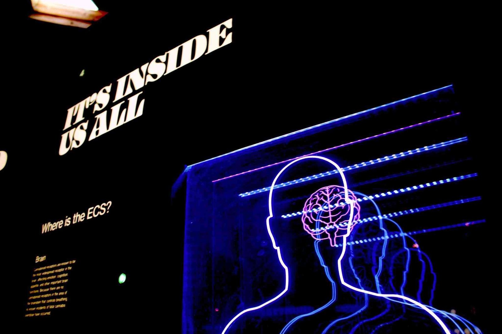 Exploring the psychology of casino design How layouts influence player behaviour