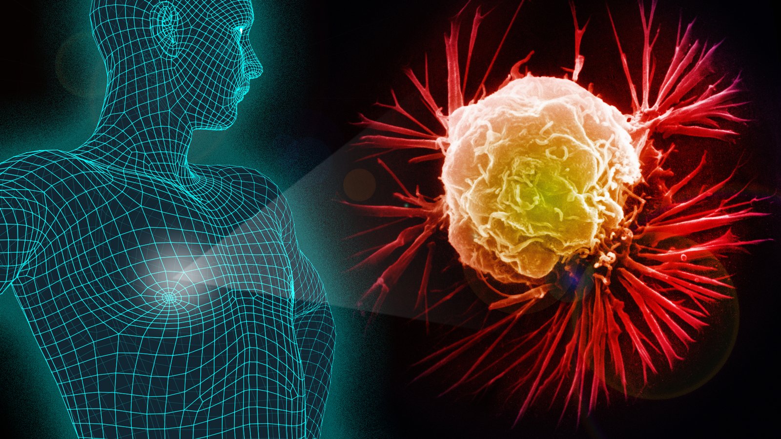 Government is turning to traditional medicines as one of the measures aimed at fighting cancer again