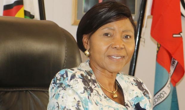 Zim celebrates Defence Forces Day