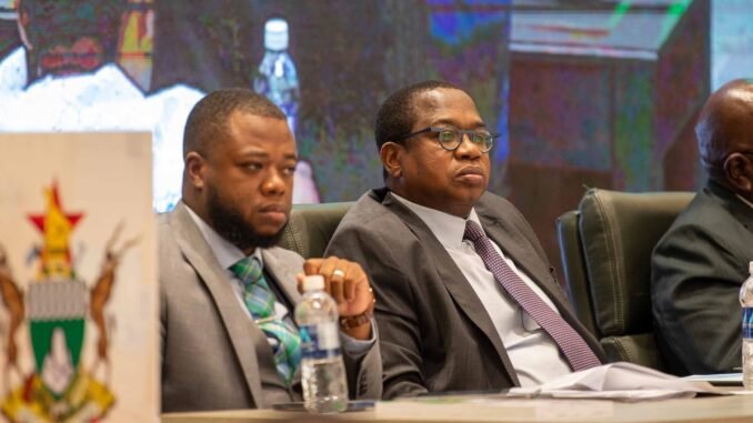 Zimbabwe platinum miners owed millions in unpaid export earnings The Zimbabwe Mail