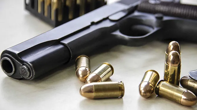 Police Nab 51-Year-Old With Revolver Near Ntali Village ZimEye
