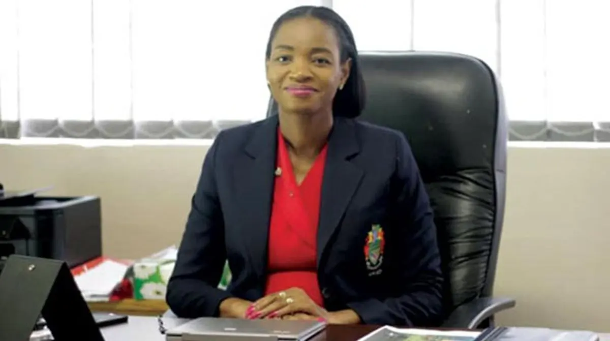 Omari the fintech subsidiary of Old Mutual Zimbabwe has announced the launch of its new digital-firs