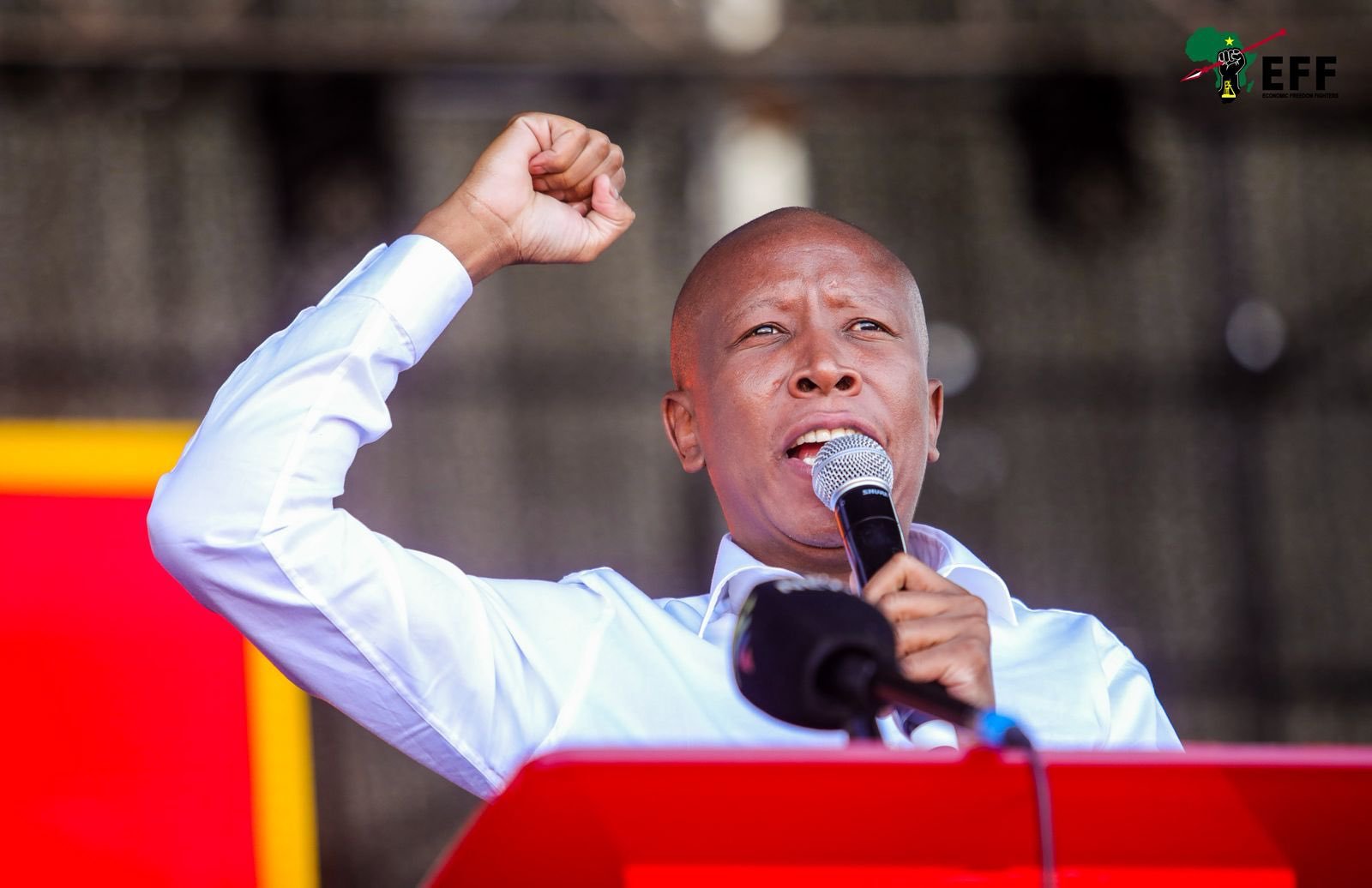 Malema Urges Zimbabweans to Seek Jobs at Home Prioritizes South African Employment