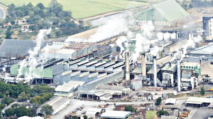 Hippo Valley records 16 revenue growth