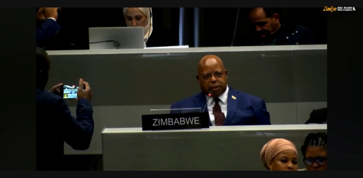 WATCH Mudenda Told To Restore Chamisas MPs ZimEye