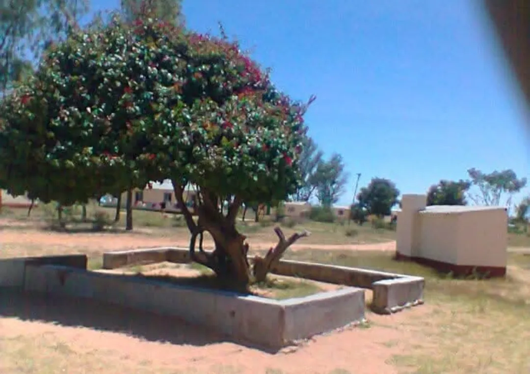 Grass-Cutting Or Political Crime Veteran Journalist Recounts CIO Ordeal ZimEye