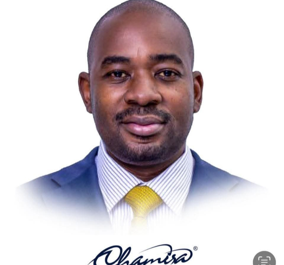 Standing With Advocate Nelson Chamisa in the Midst of Storms ZimEye