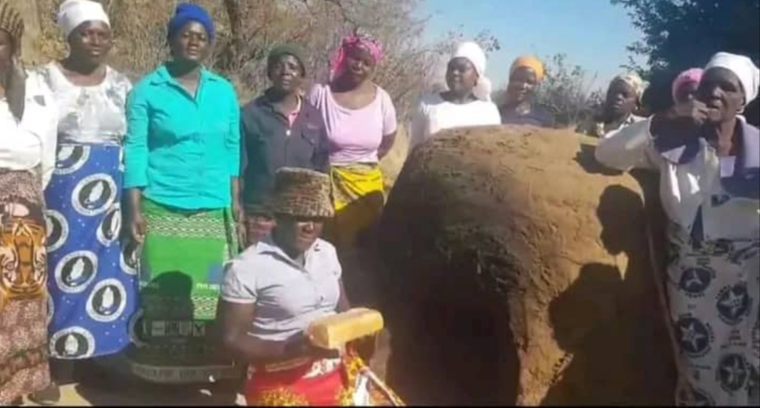 Exposing The Second Republics Deception ZimEye