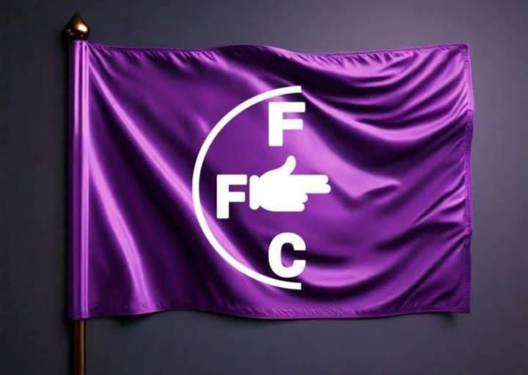 Can Freedom Fighters for Change Break ZANU PFs Grip on Power ZimEye