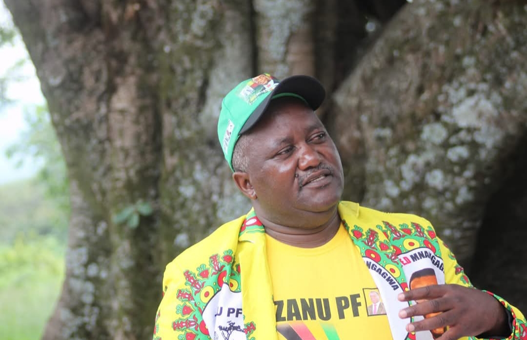 Mnangagwa Regime Faces Backlash Over Heroes Acre Renovation While Hospitals Decay ZimEye