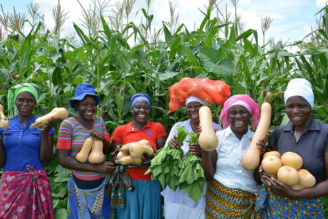 NewsDay Not 2 of Zim women but 2 of the documented agricultural population are women