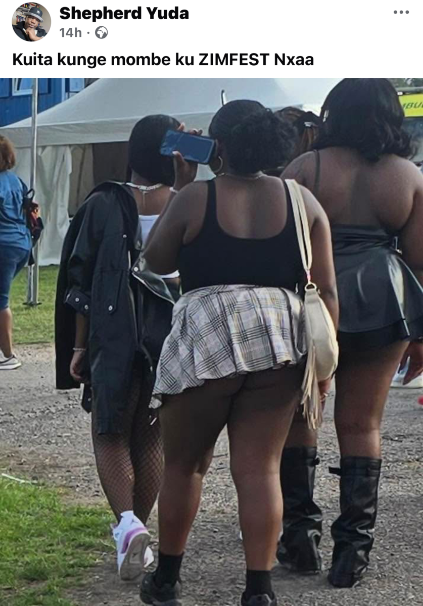 A photo from the recently held Zimbabwe Festival ZIMFEST in the UK has gone viral for all the wrong