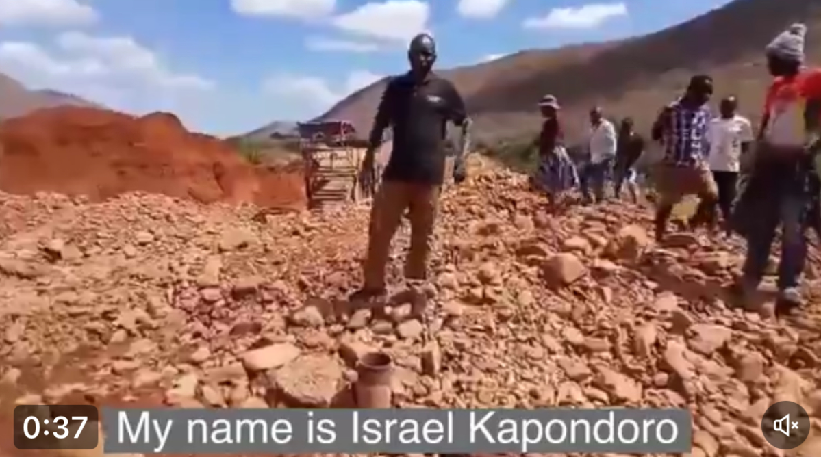 Zanu PF Hardliner Defends Chinese Investors Despite Controversy Over Environmental Degradation ZimE