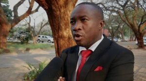 Mutsvangwa Slams Tagwireis Alleged Bid to Buy Central Committee Seat
