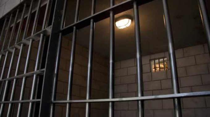TRIO JAILED FOR ZEBRA POACHING Meat found stashed near Kwekwe