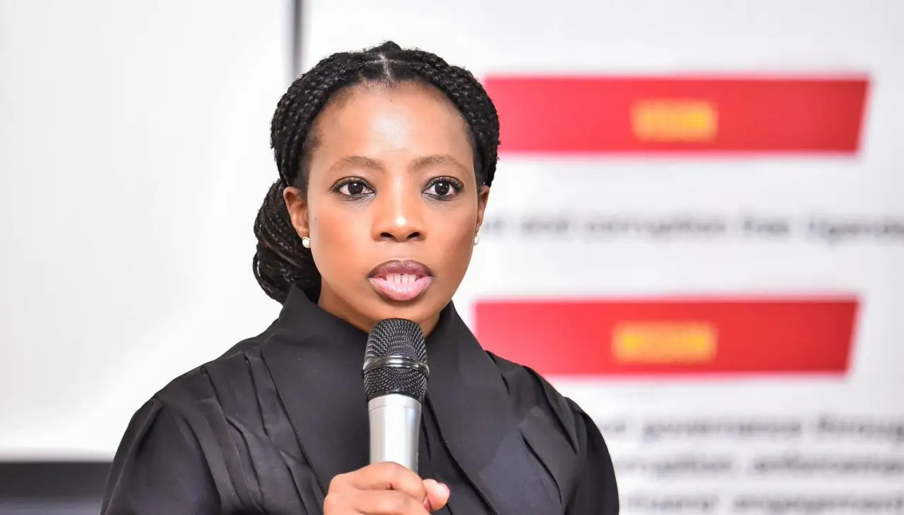 SA public protector denies talks over Zimbos denied healthcare in Mzansi