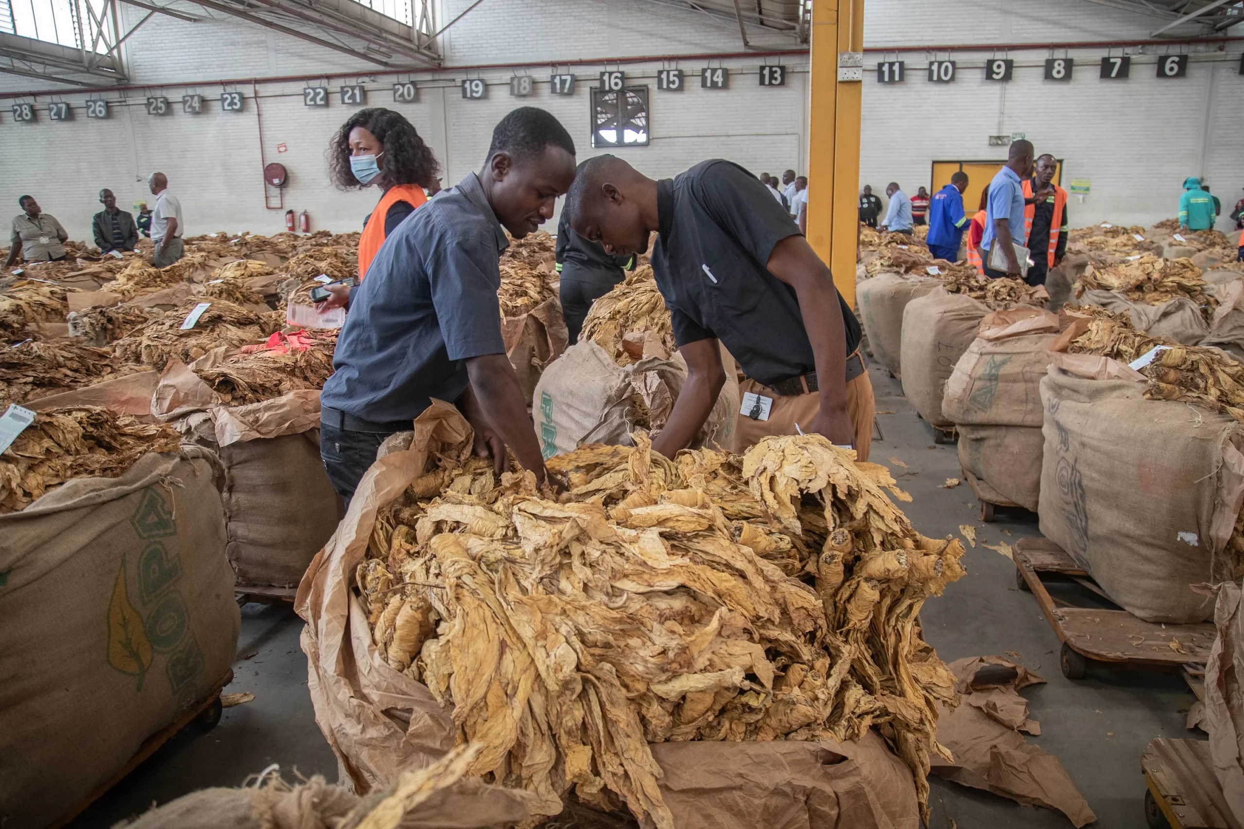 Zimbabwes tobacco industry has reached a historic milestone with farmers delivering a record-breakin