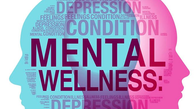 Mental well-being is central to overall health-Dr Mombeshora