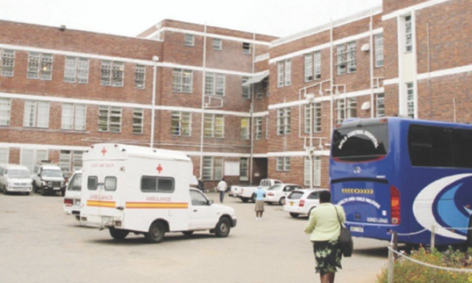 COMMENT Investing in health is investing in economic development