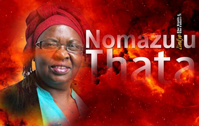 Jonathan Moyo Refuses to Recognise Similarities Between Mnangagwa Mugabe ZimEye