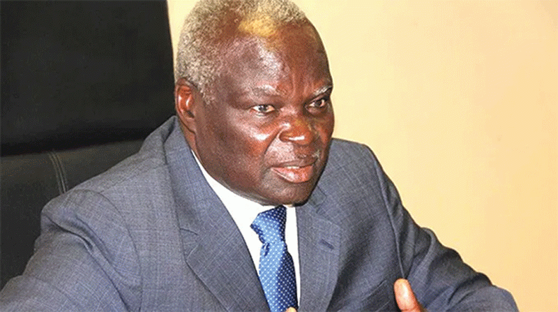 Zim turns to Japan for energy investments