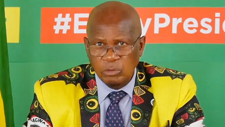 ZANU PF Secretary for Legal Affairs Patrick Chinamasa has confirmed that the co-option of Harare pro