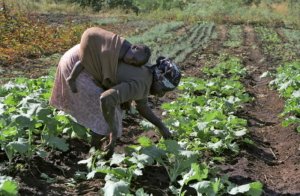 Top 10 Facts About Poverty in Zimbabwe