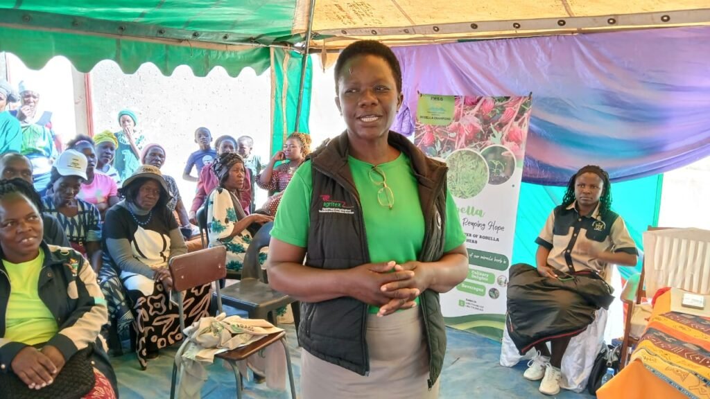 Rubella Crop Launch Sparks Agricultural Innovation in Mash West