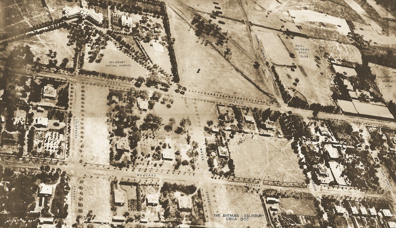 Tomorrow June 11 marks the centenary of the arrival of the first aircraft in Harare carrying two pas