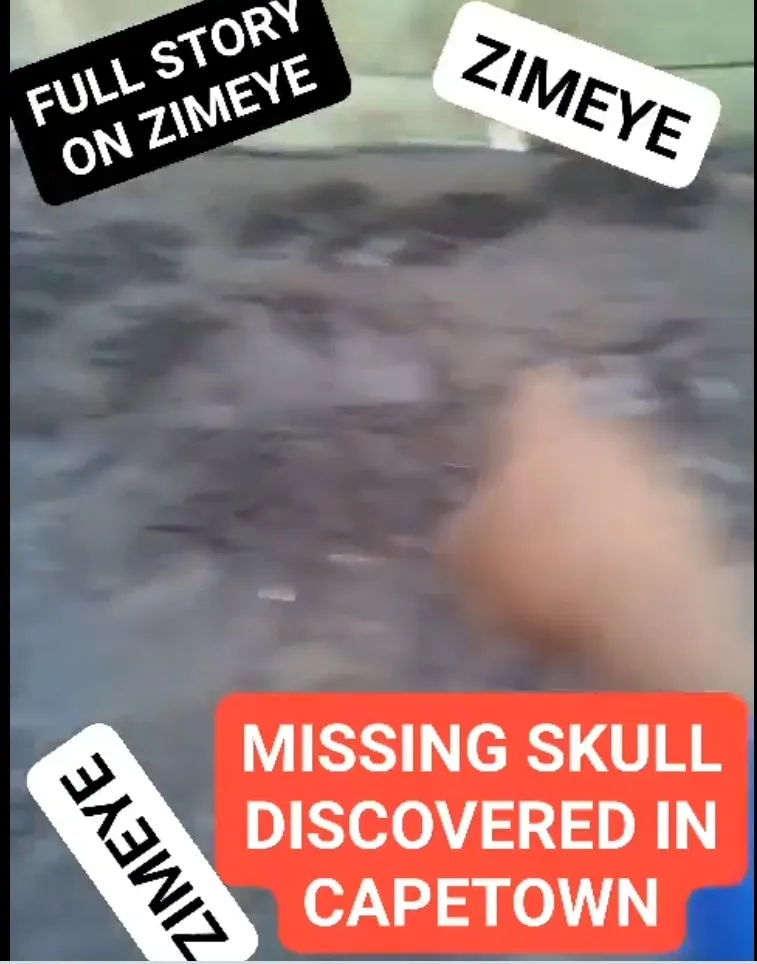 Missing Human Skull Discovered VIDEO ZimEye
