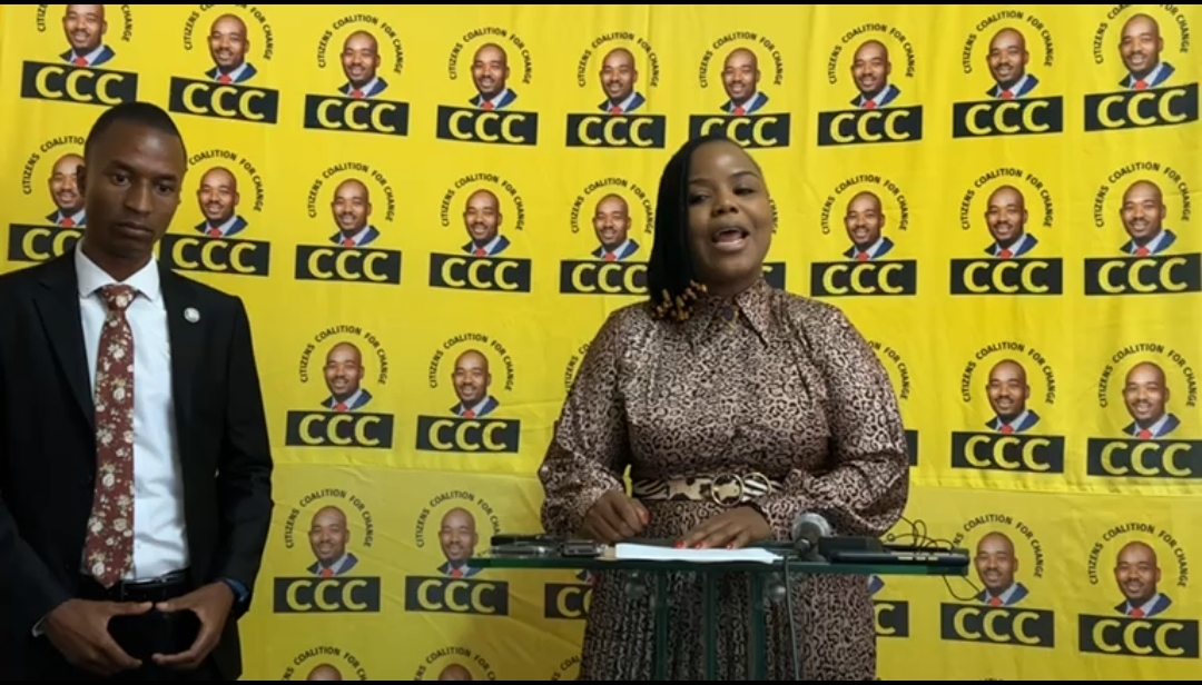 After Cucsman the Next Traitor is Fadzayi Mahere ZimEye