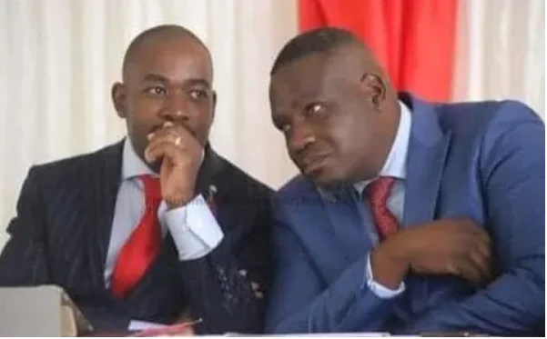 Chamisa loyalists fail to answer Hwendes brutal q