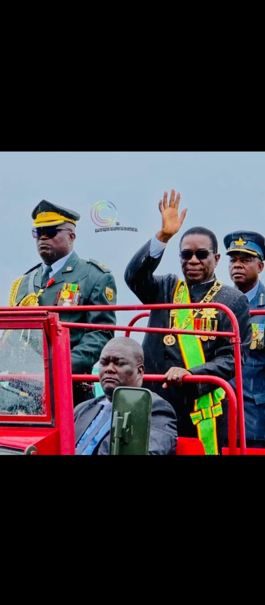 Zanu PF Hardliner Claims Zimbabweans Want Mnangagwa Statue In Cities ZimEye