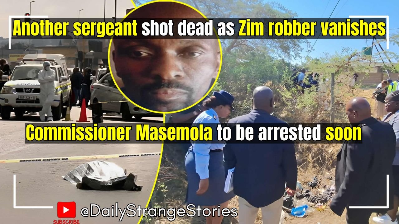 5 notorious robbers finally ARRESTED in Beitbridge Ecocash agent loses over 7000 to armed
