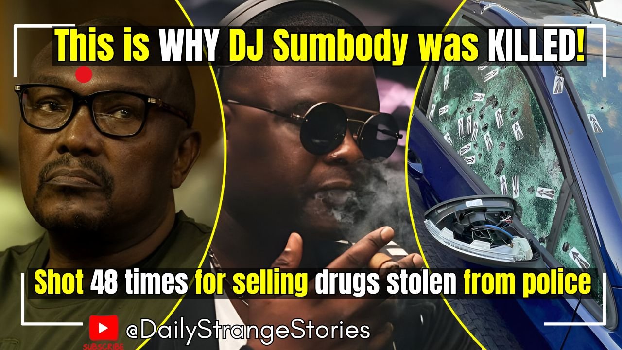 In the shadowy world of South Africas underground dealings a massive drug shipment worth millions va