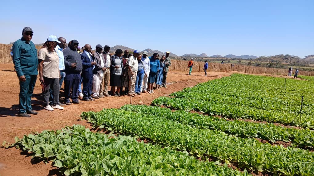 A golden sunset bathed the fields of Mashonaland West Province as Hon
