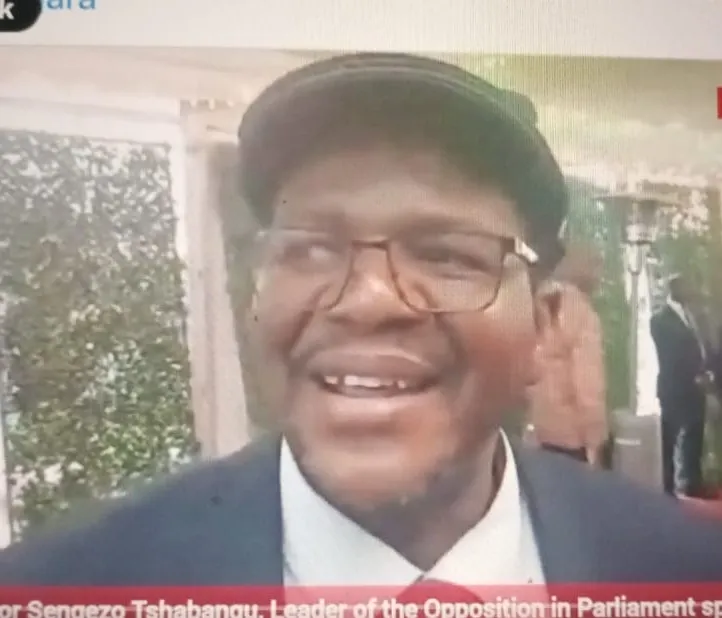 Tshabangu Sings for His Supper Praises Mnangagwa Over Airport Renovations ZimEye