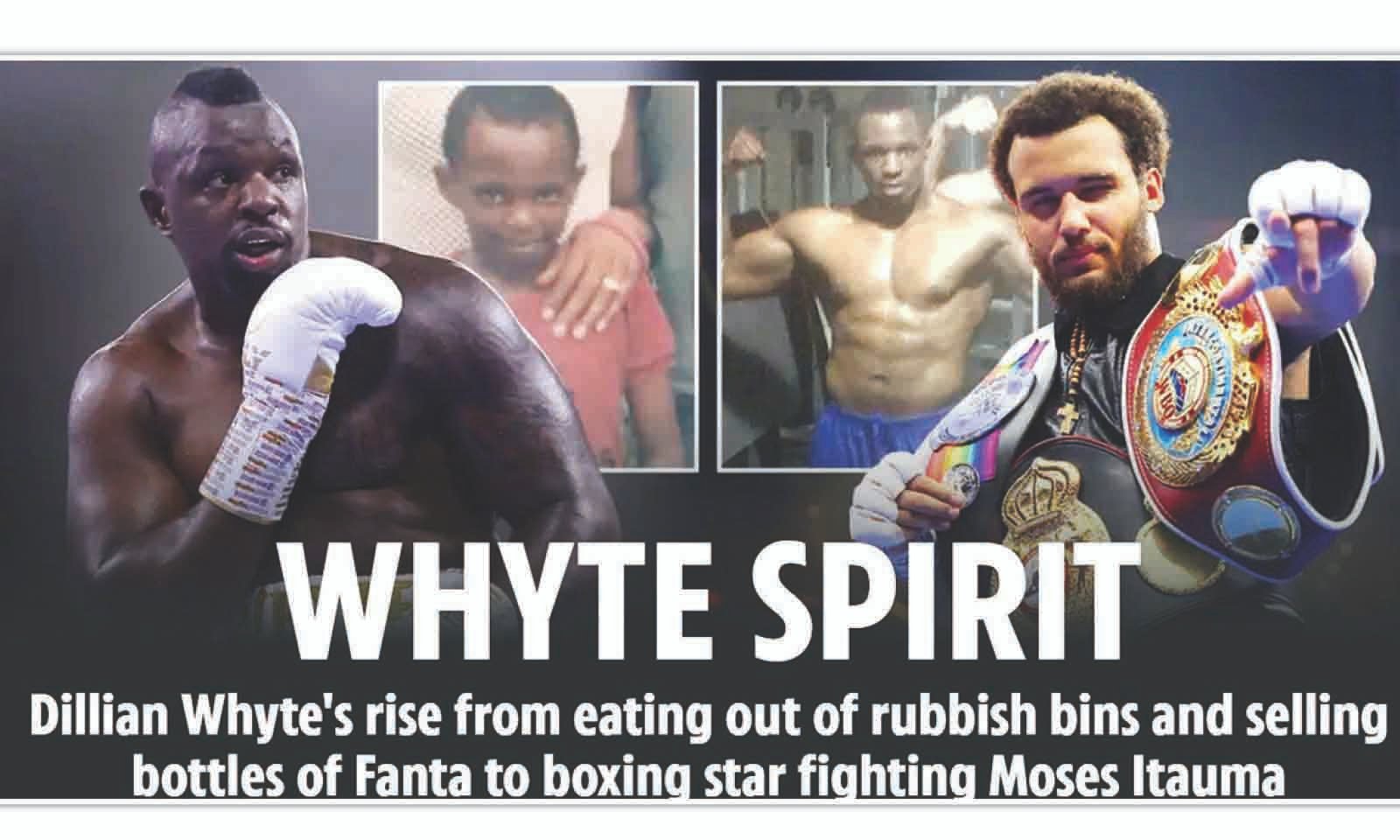 WHYTE SPIRIT