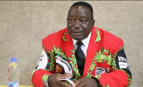 COVID-LIKE-POISONING Matemadanda Explains How It Was Done ZimEye