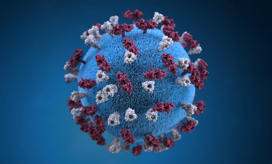 38 measles cases reported in Zim