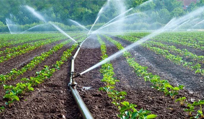 HARARE Government has today launched a US20 million small holder farmers irrigation development fun