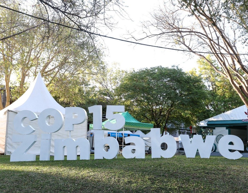 COP15 concludes with enhanced global resolve to wetland conservation - NewZimbabwecom