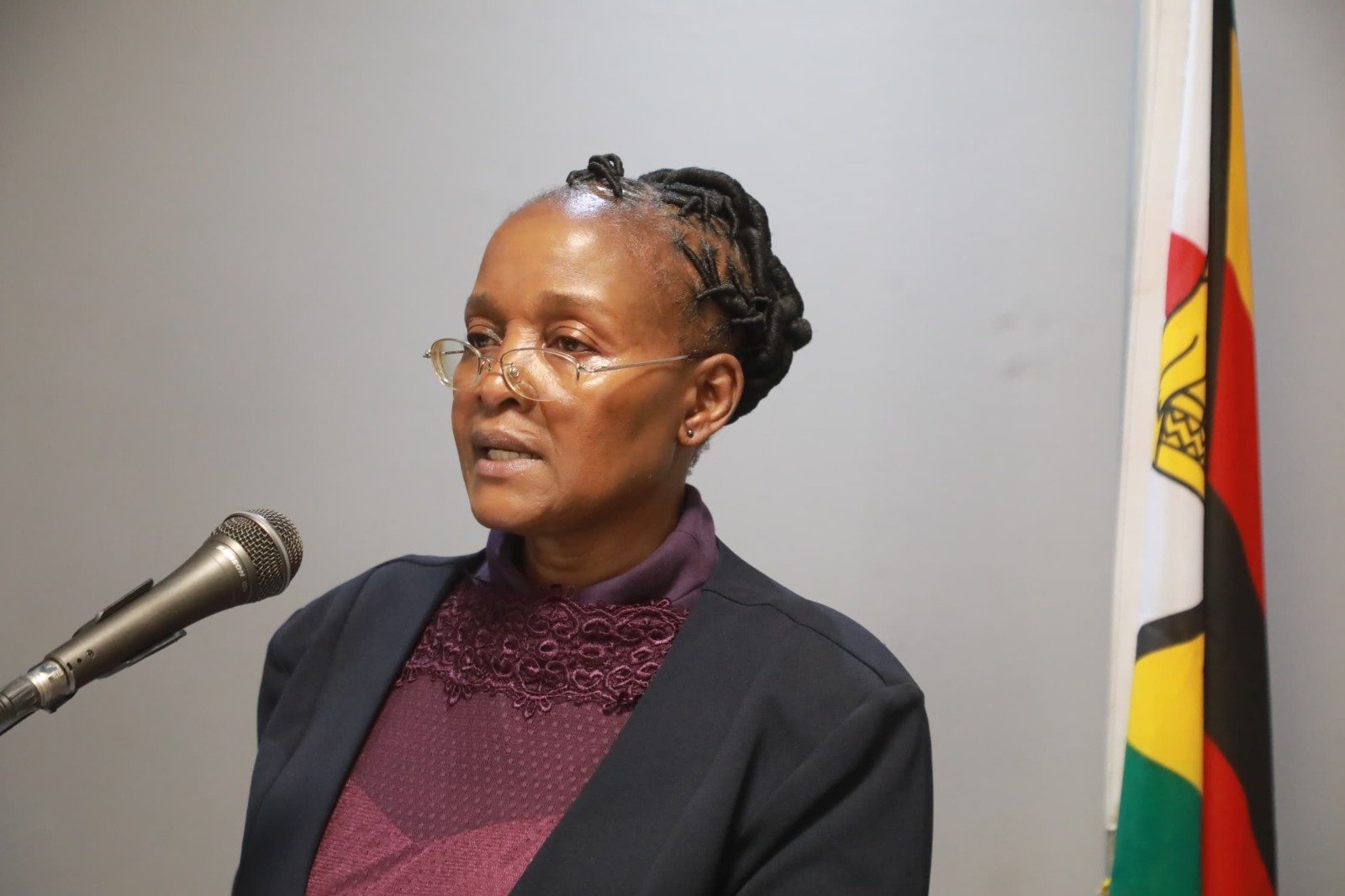 Bulawayo hosts ZNIDP 2 consultative workshop
