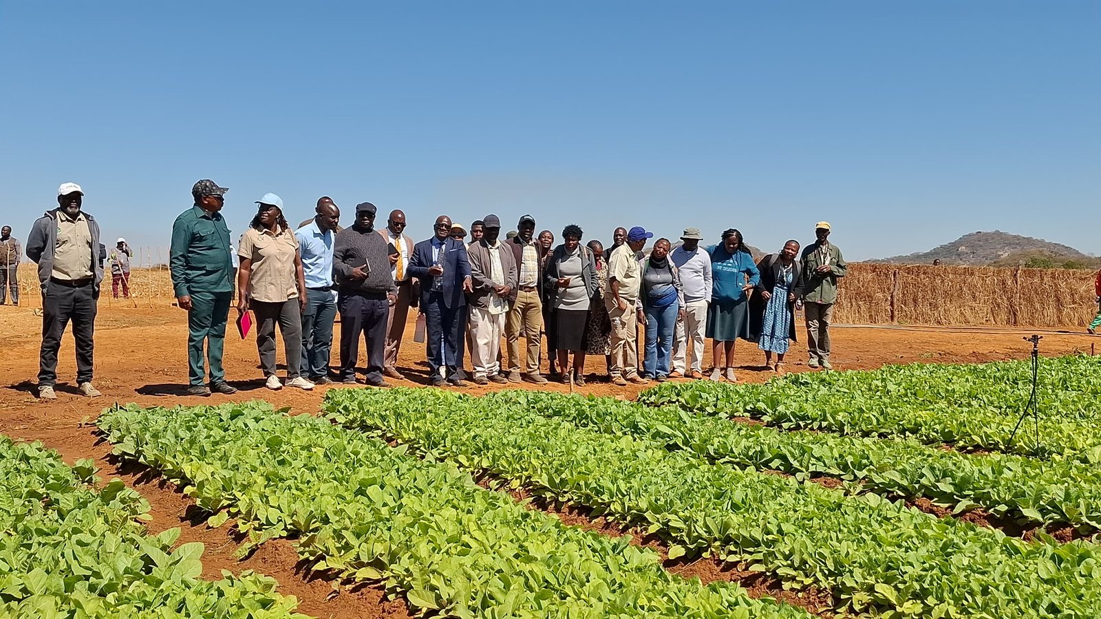 Namibian delegation tours PaCombe farm