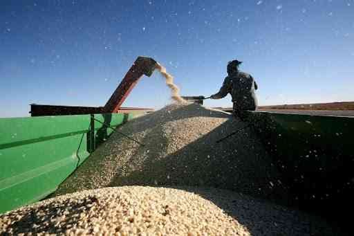 ZMX GMAZ partner to transform Zims grain marketing system
