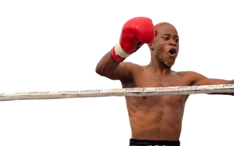 New Generation steps into the ring at Rise of Champions