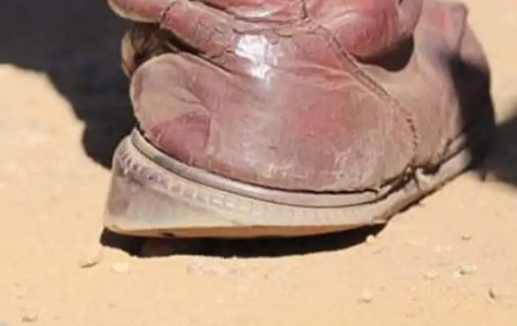 Time for Zimbabweans to Sue for Their Rights ZimEye