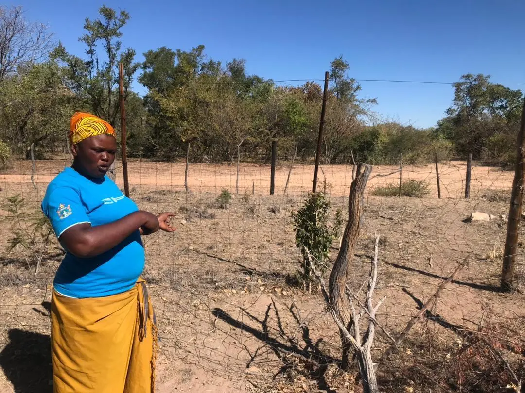 Climate change induced droughts fuel exodus of young people in Matabeleland South